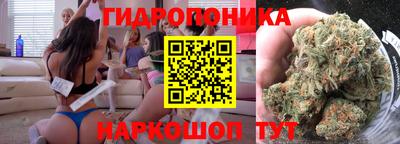 прущие грибы Можайск