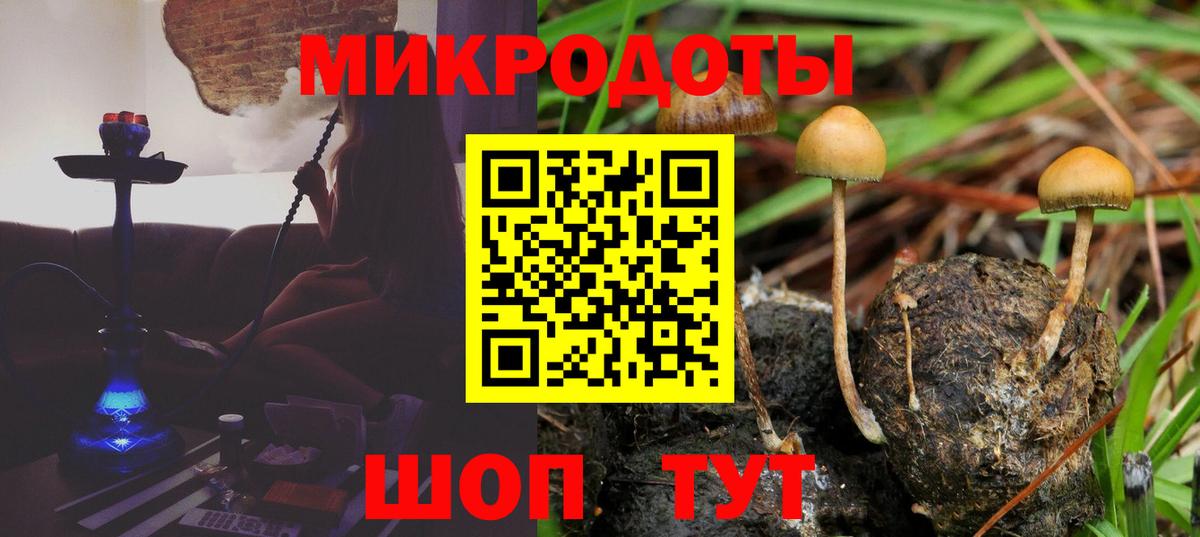 Псилоцибиновые грибы Psilocybe  Галлюциногенные грибы MAGIC MUSHROOMS  Вход с VPN  Верхний Уфалей 